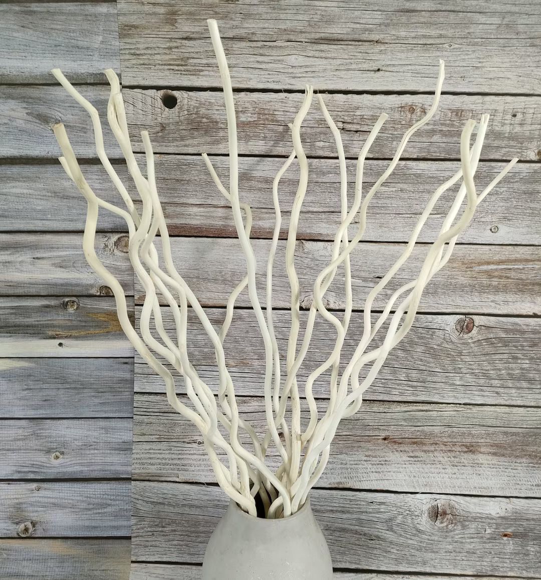 Curly Willow Branches Dried Curly Willow Branches 100% Natural Decorative 14 Stems  White Sticks ... | Etsy (US)