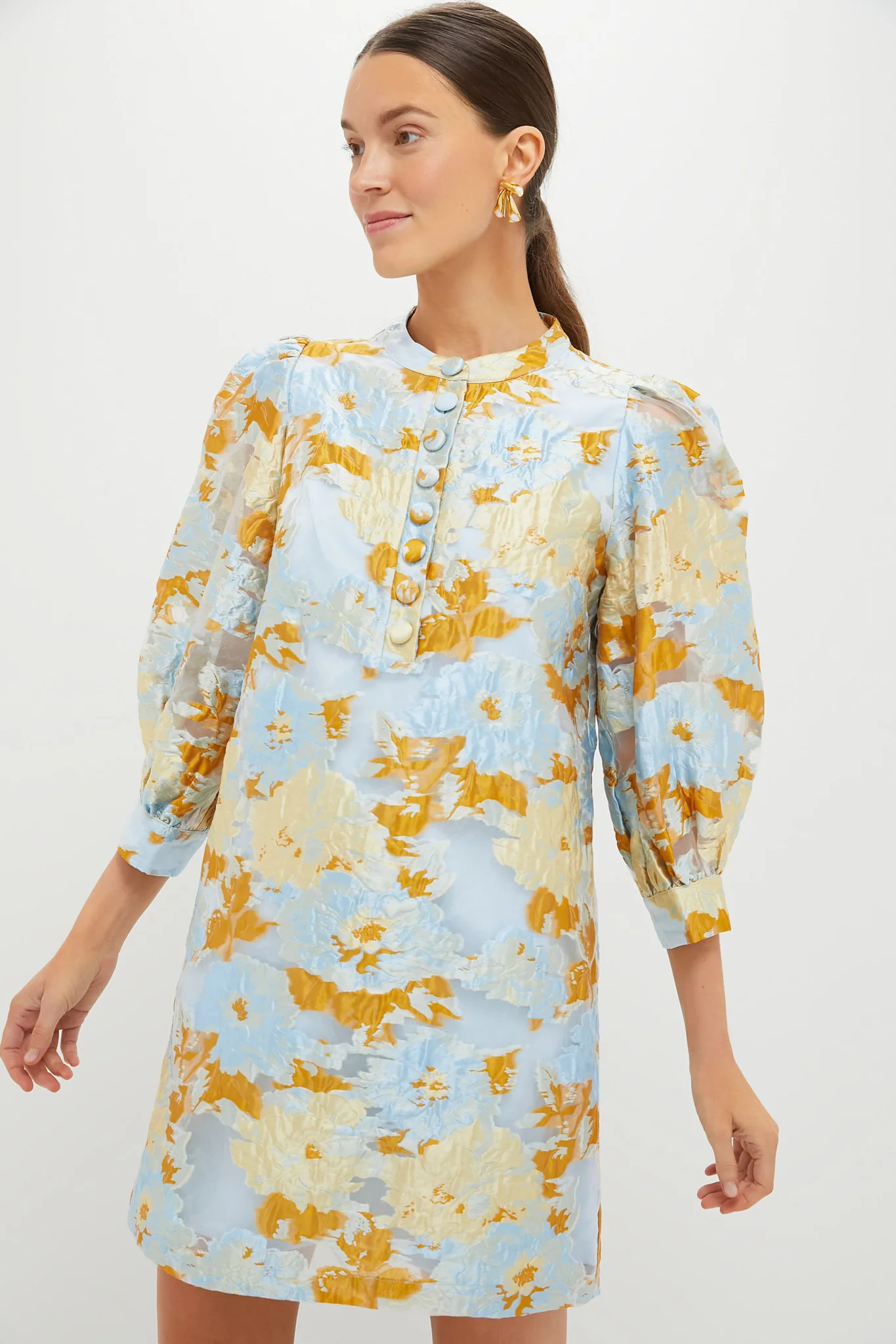 Jessamine Jacquard Samantha Dress | Tuckernuck (US)
