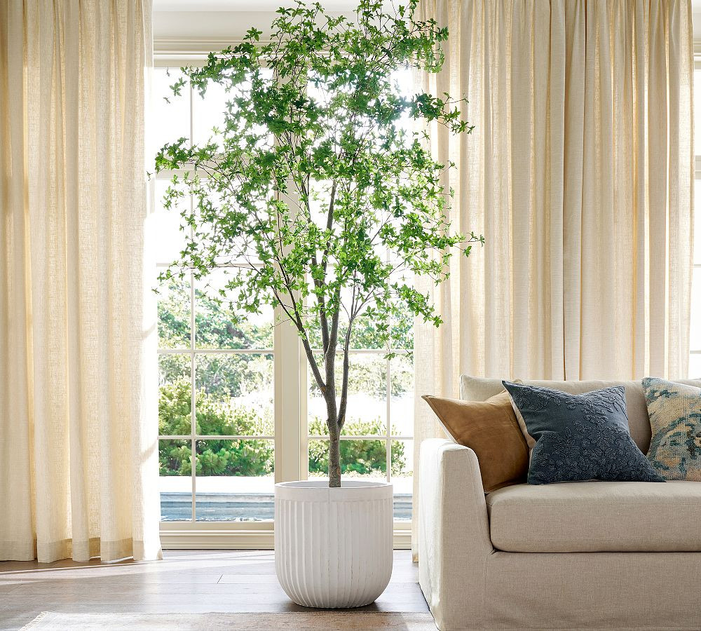 Faux Potted Gypsophilia Tree | Pottery Barn (US)