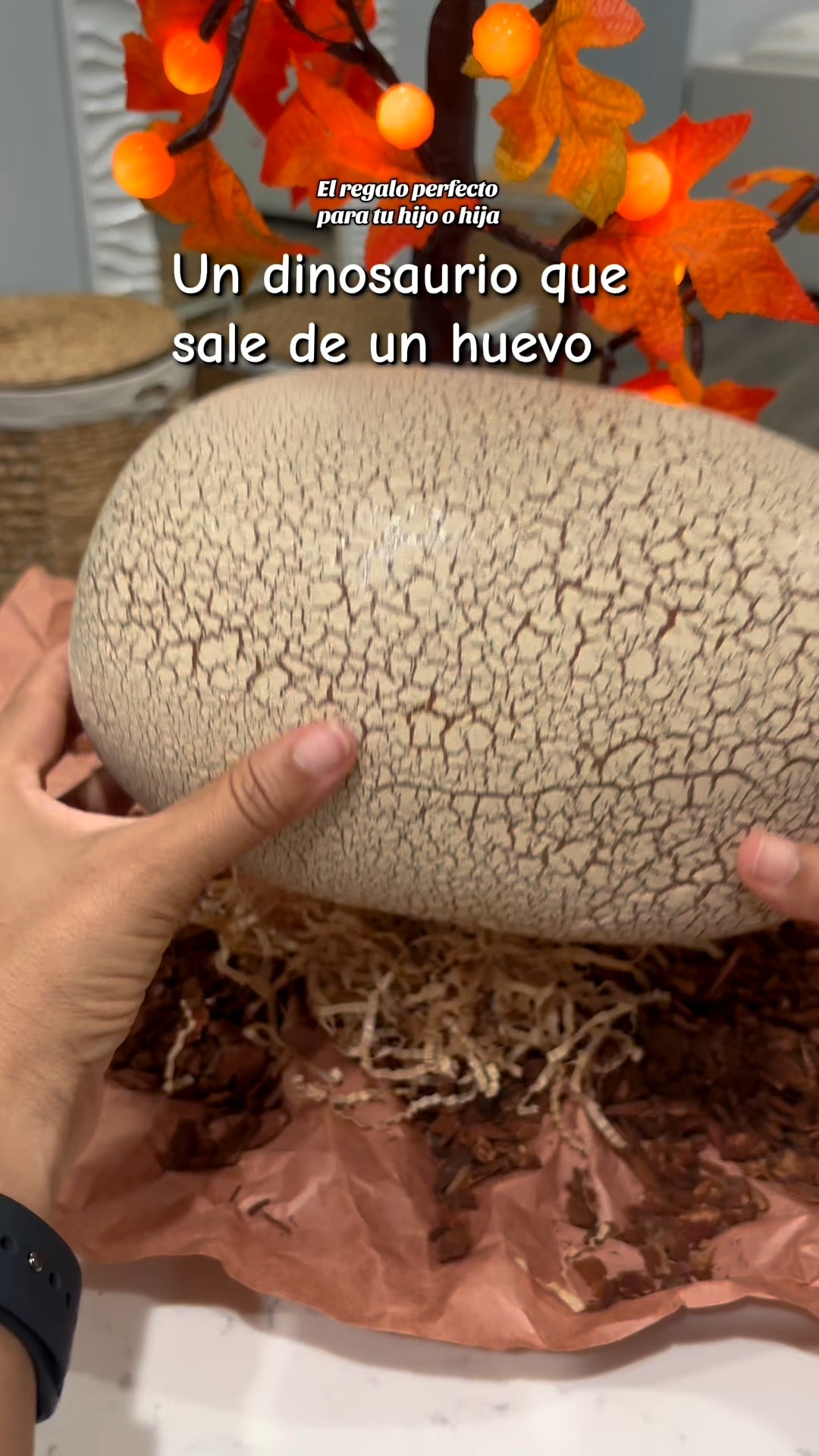 Un dinosaurio que sale de un huevo de verdad 

#LTKFamily #LTKBaby #LTKKids