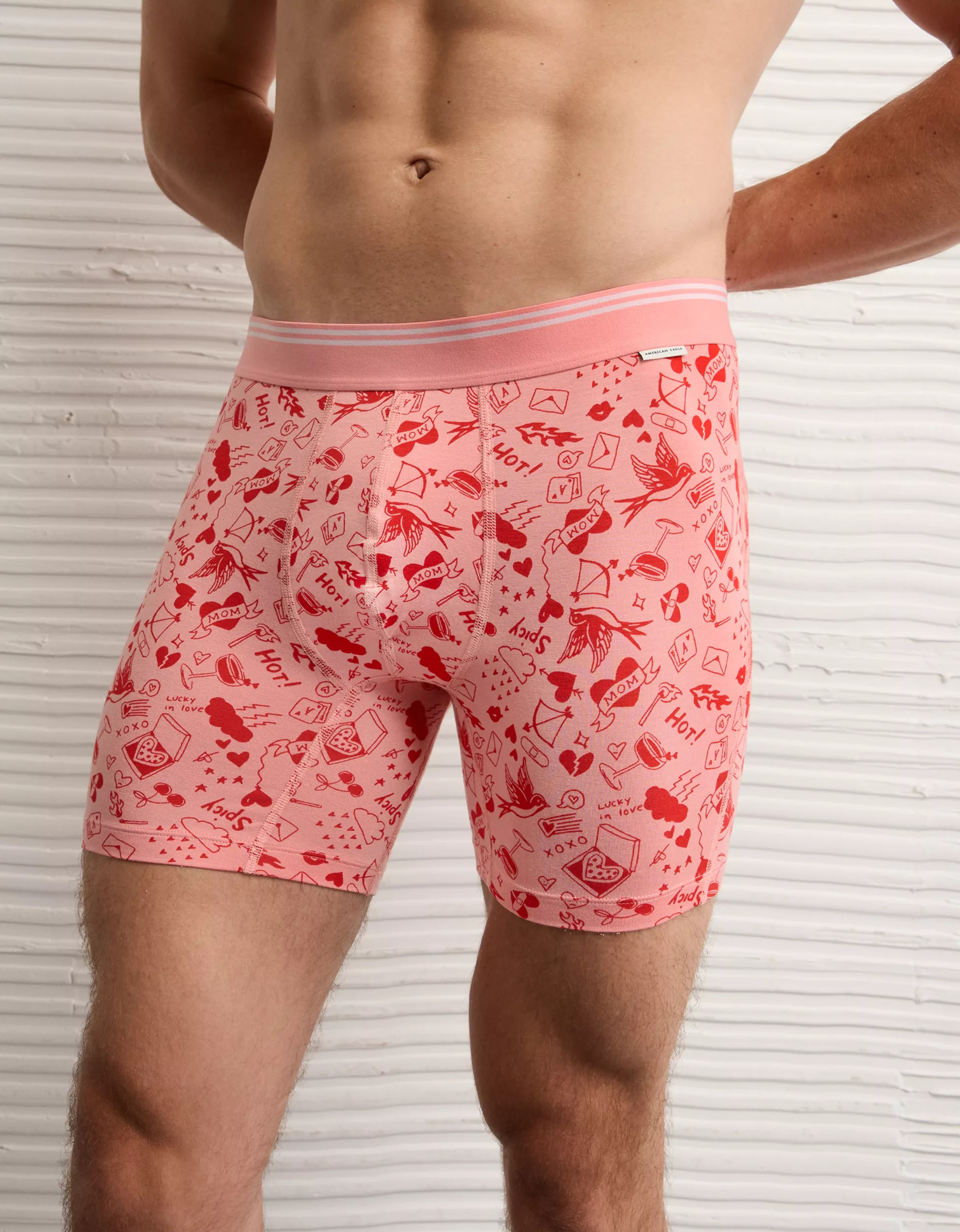 AEO Men's Valentine's Day 6" Ultra Soft Boxer Brief | American Eagle Outfitters (US & CA)