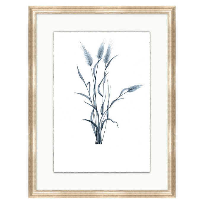 Fragile Blossoms Art - Cornflower | Ballard Designs, Inc.