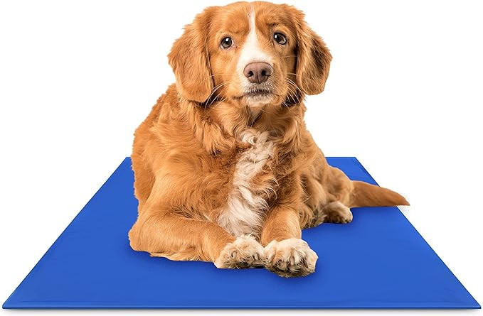 The Green Pet Shop Chillz Dog Cooling Mat, Medium - Pressure Activated Cooling Mat for Dogs and C... | Amazon (US)