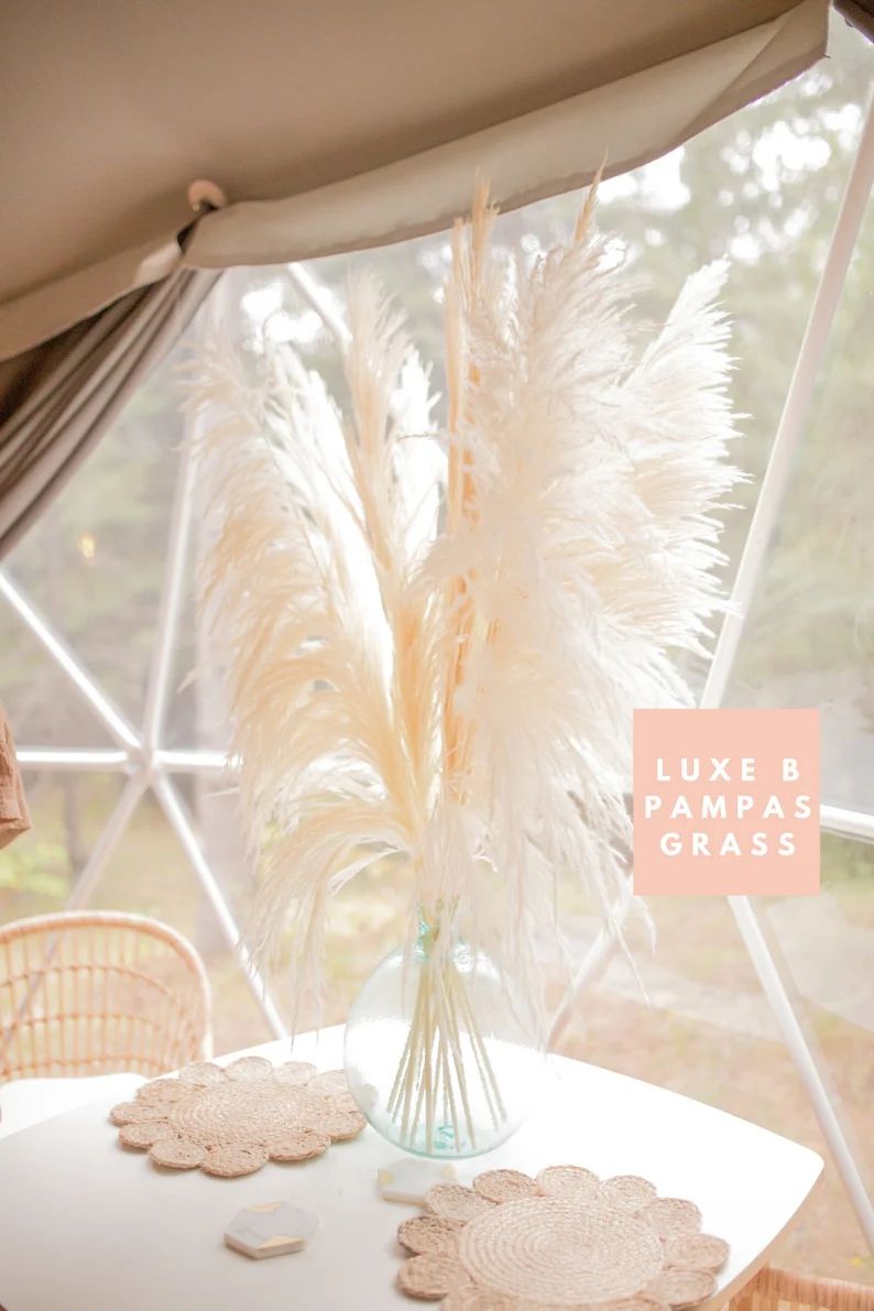 PAMPAS GRASS Bleached White 4ft by Luxe B Pampas Grass Type 8 | Etsy (US)