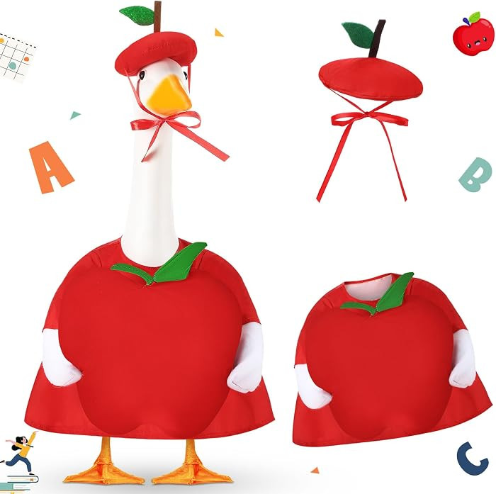 2 Pcs Back to School Porch Goose Outfits for 23'' 17'' Plastic Garden Statue Lawn, Cement Goose C... | Amazon (US)