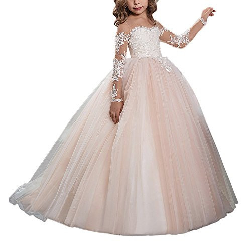 Abaowedding Lace Embroidery Sheer Long Sleeves Kids Trailing Gowns (Picture Color, 12) | Amazon (US)