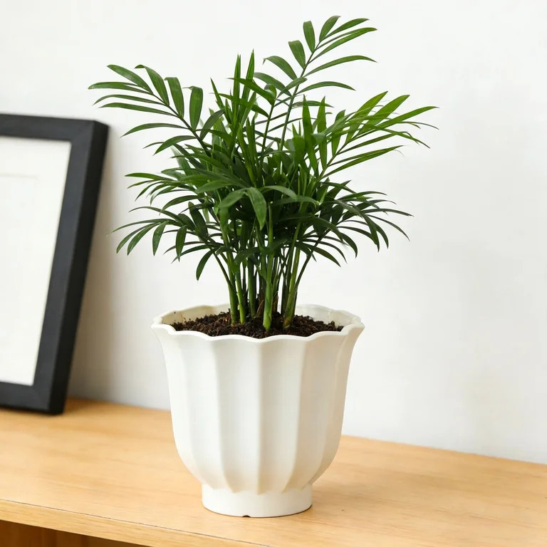 Mainstays Lillian 8" x 8" x 7" Round Vanilla Dream 100% Recycled Resin Planter | Walmart (US)