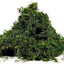 Farmoo Fake Moss for Crafts, Artificial Green Moss for Potted Plants Centerpieces Decor (3.5OZ) | Amazon (US)