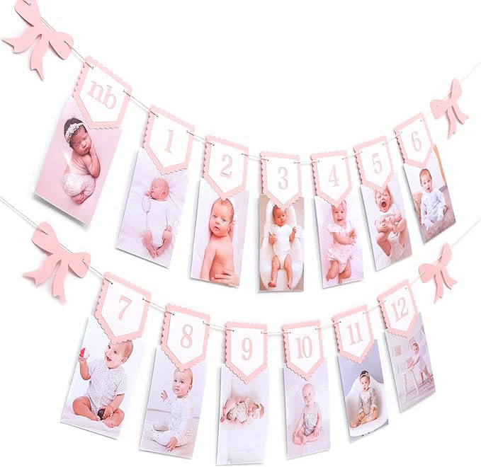 Pink Bow Monthly Milestones Photo Banner - Baby Girls Newborn to 12 Months Photo Display, 1st Bir... | Amazon (US)