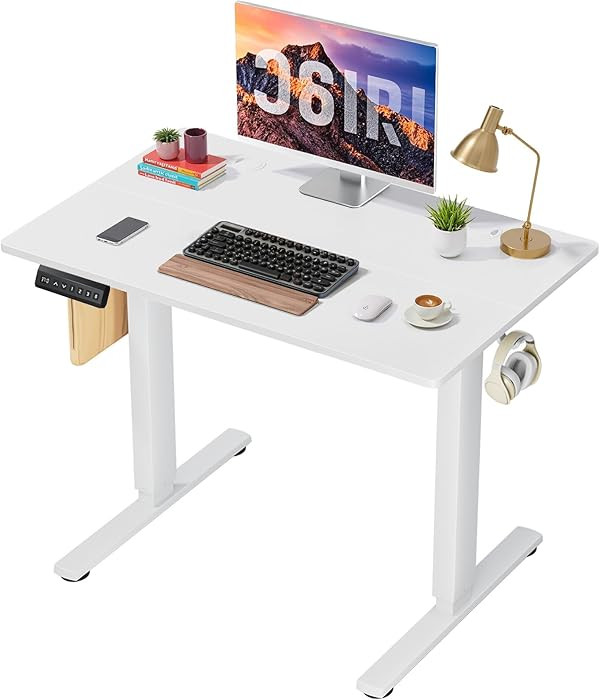 40 x 24 in Electric Standing Desk - Memory Height Adjustable Ergonomic Sit-to-Stand Rising Comput... | Amazon (US)