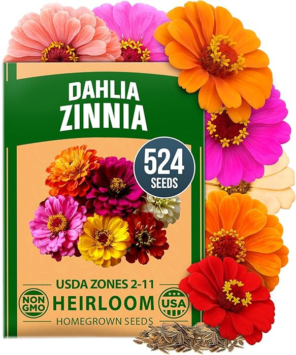 HOME GROWN Zinnia Dahlia Seeds Pack for 2026 Non GMO 524 Flower Seeds | Vibrant Zinnia Elegans fo... | Amazon (US)