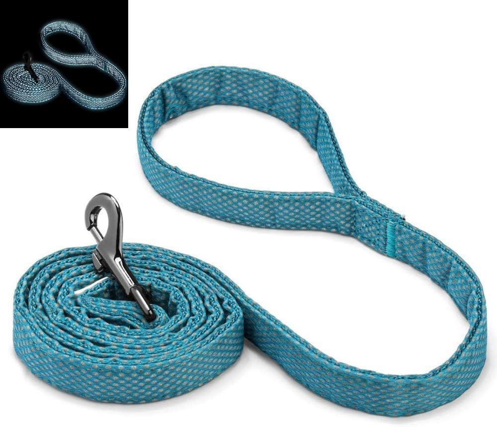 Embark Illuminate Reflective Leash for Night Walking - 5 Ft Long, 3/4 Inch Width, Medium Dog Leas... | Amazon (US)