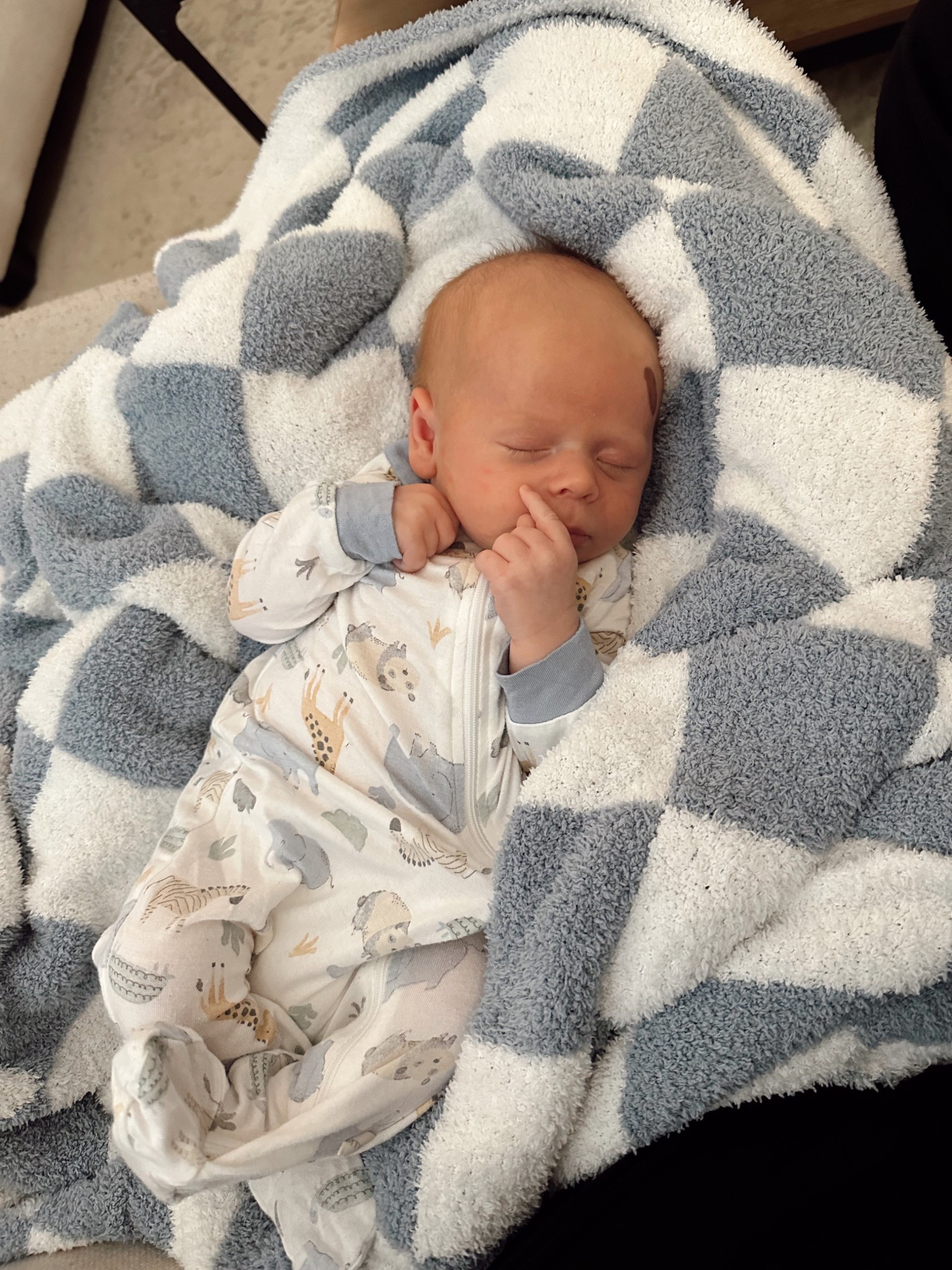 Fav Amazon blanket!!! 
Gift ideas
Checkered blanket
Home finds 

#LTKHome #LTKFamily #LTKFindsUnder50