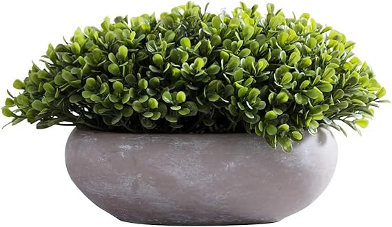 FAVRD Artificial Plants Boxwood in Cement Pot Environmentally Conscious Partly Recycled Fake Plan... | Amazon (US)
