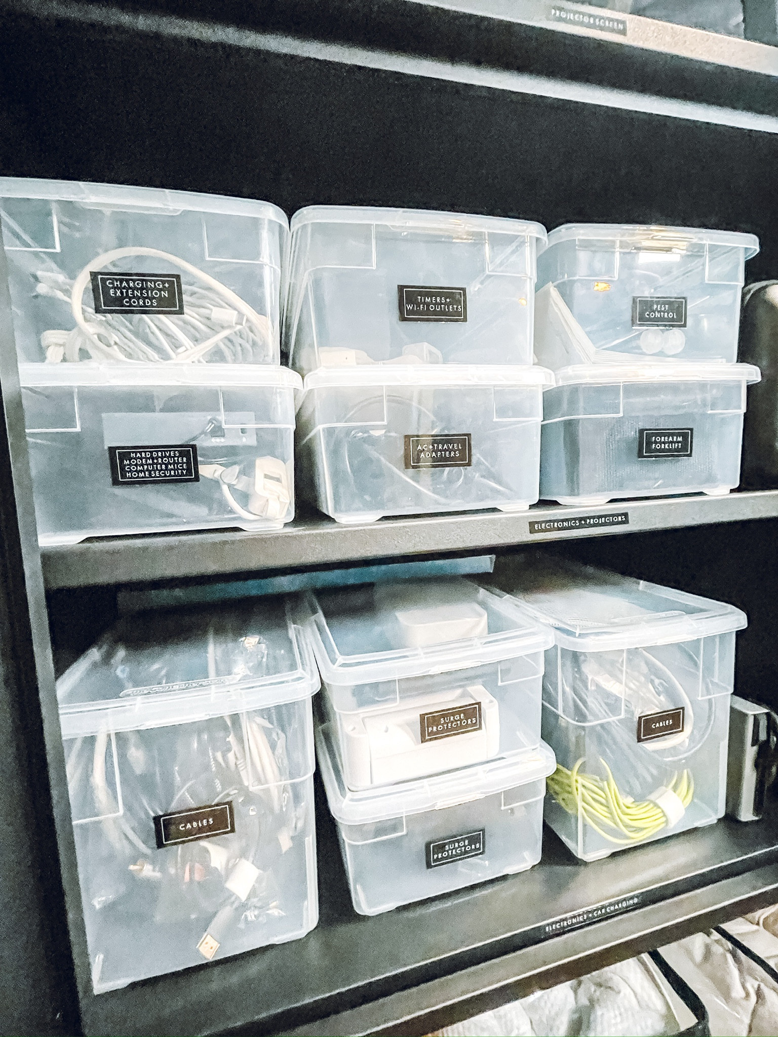 Storage Room Organization ✨