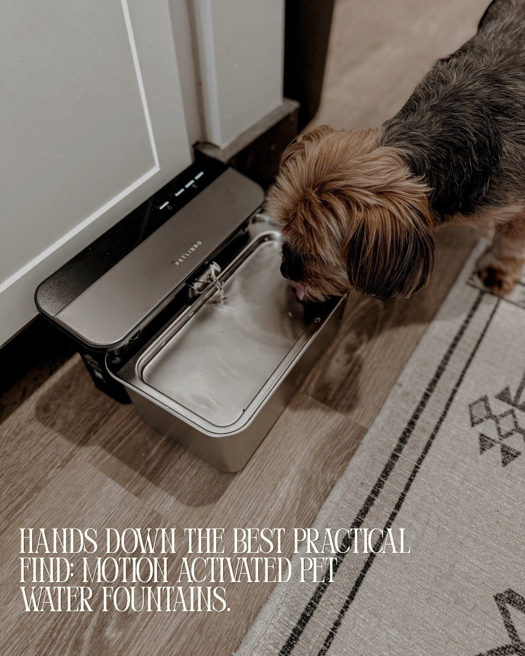 Apartment Therapy Dog Mom Edition: Pet Water Fountains 

Scroll to shop. 

#LTKPet

#LTKHome #LTKdayinmylife