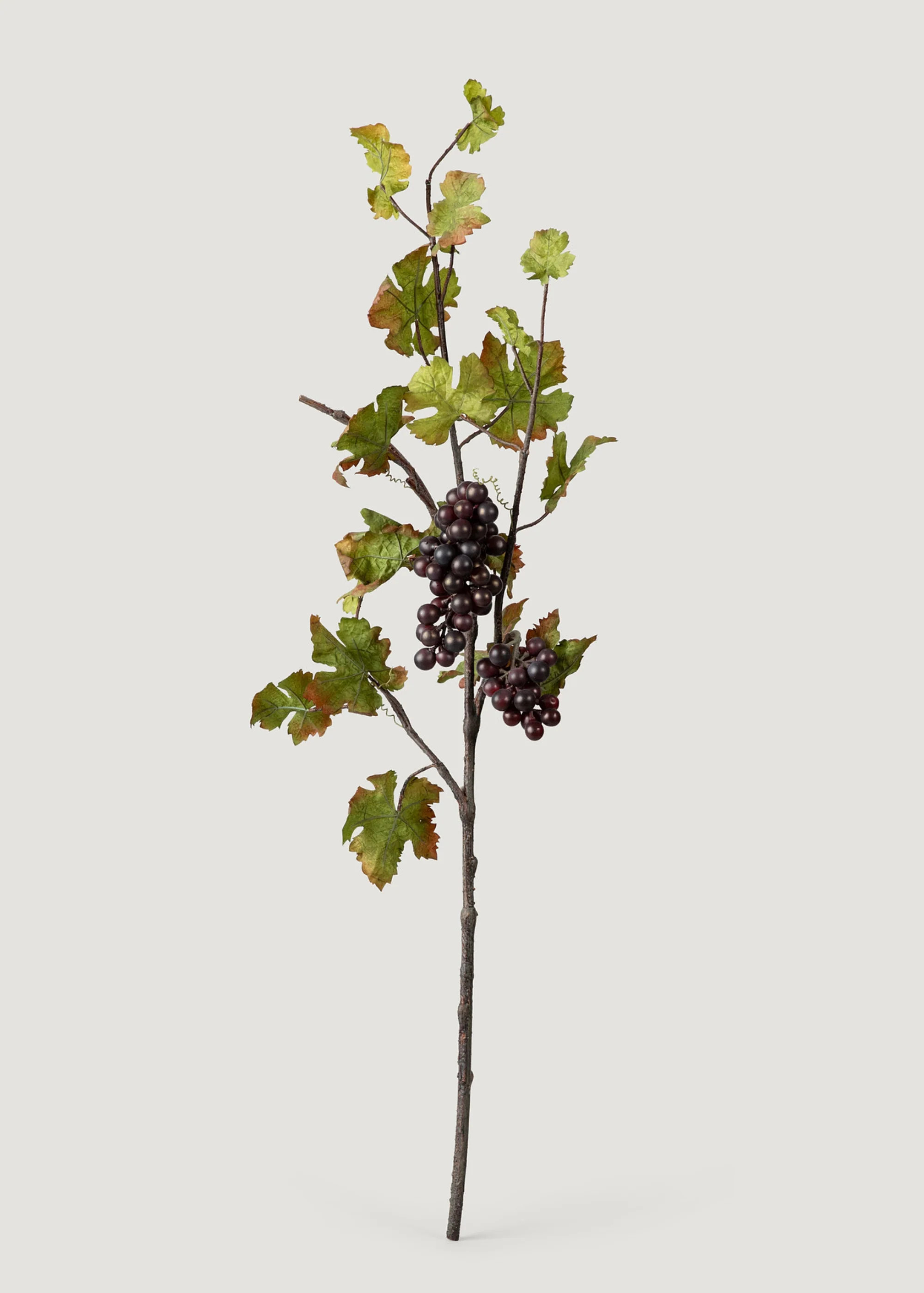 Grape Branch with Leaves - 43" | Faux, Fall | Afloral | Afloral