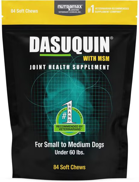 Nutramax Dasuquin Hip & Joint Soft Chews Joint Supplement for Small & Medium Dogs | Chewy.com