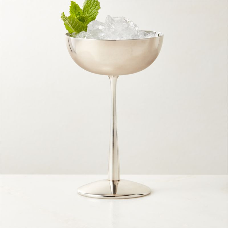 Emporia Stainless Steel Coupe Glass + Reviews | CB2 | CB2