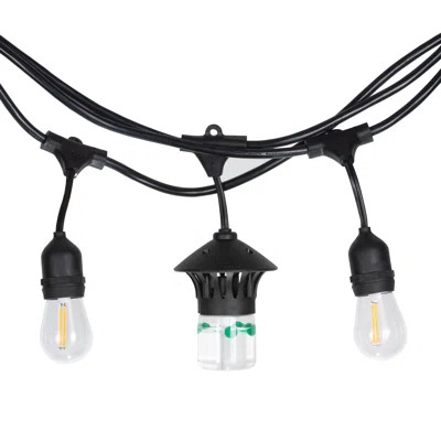 TIKI Brand 36 feet BiteFighter Mosquito Repellent LED String Lights | Wayfair North America