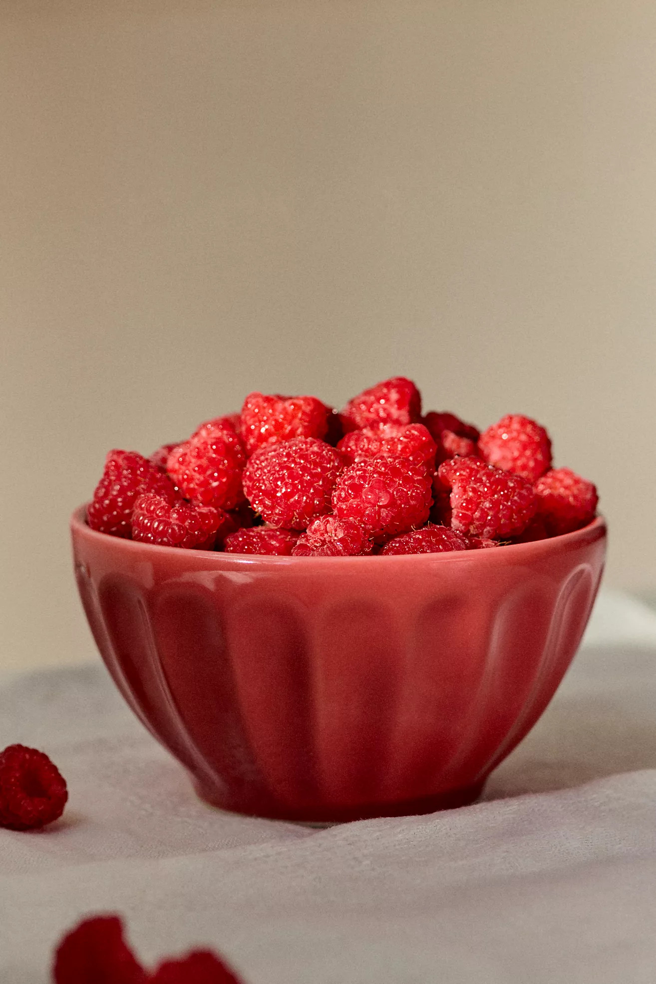 Amelie Latte Stoneware Cereal Bowls, Set of 4 | Anthropologie (US)