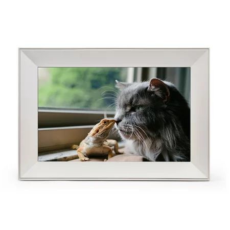 Buddy Pet Frame by Aura Frames 10.1 inch HD Wi-Fi Digital Picture Frame with Free Unlimited Storage  | Walmart (US)