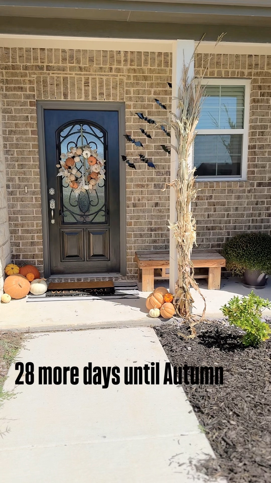I’m so excited for fall. I love the ‘bee months🍂🍁.    #fall #halloween #halloweendecor #falloutfit #bats #pumpkins #wreaths 

#LTKFindsUnder50 #LTKSeasonal #LTKSaleAlert