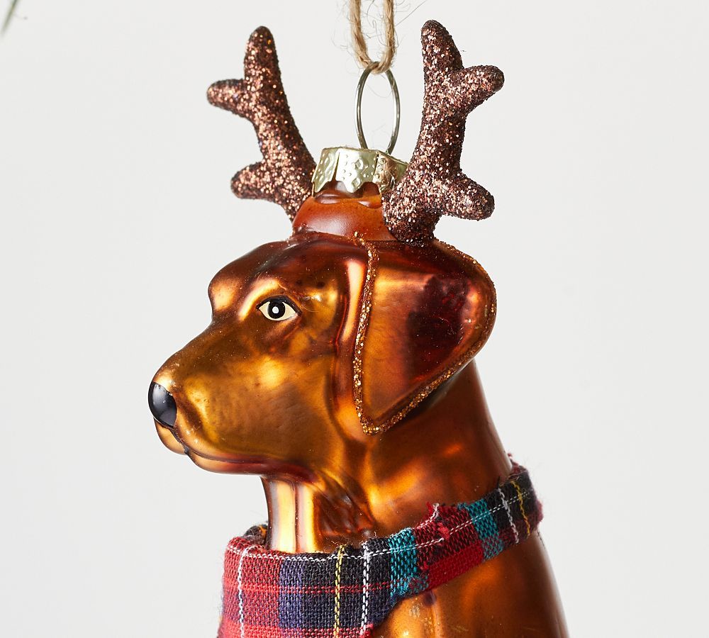 Dog with Antlers and Scarf Ornament | Pottery Barn (US)