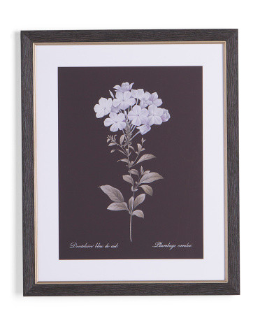 18x22 Arched Flower I Framed Wall Art | TJ Maxx
