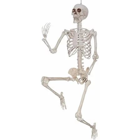 Way To Celebrate Halloween Hanging Posable Skeleton, 5' - Walmart.com | Walmart (US)