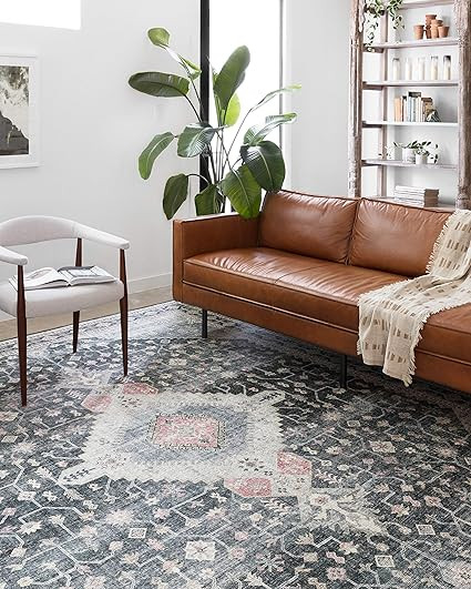 Loloi II Skye Collection SKY-02 Charcoal / Multi, Traditional 7'-6" x 9'-6" Area Rug | Amazon (US)