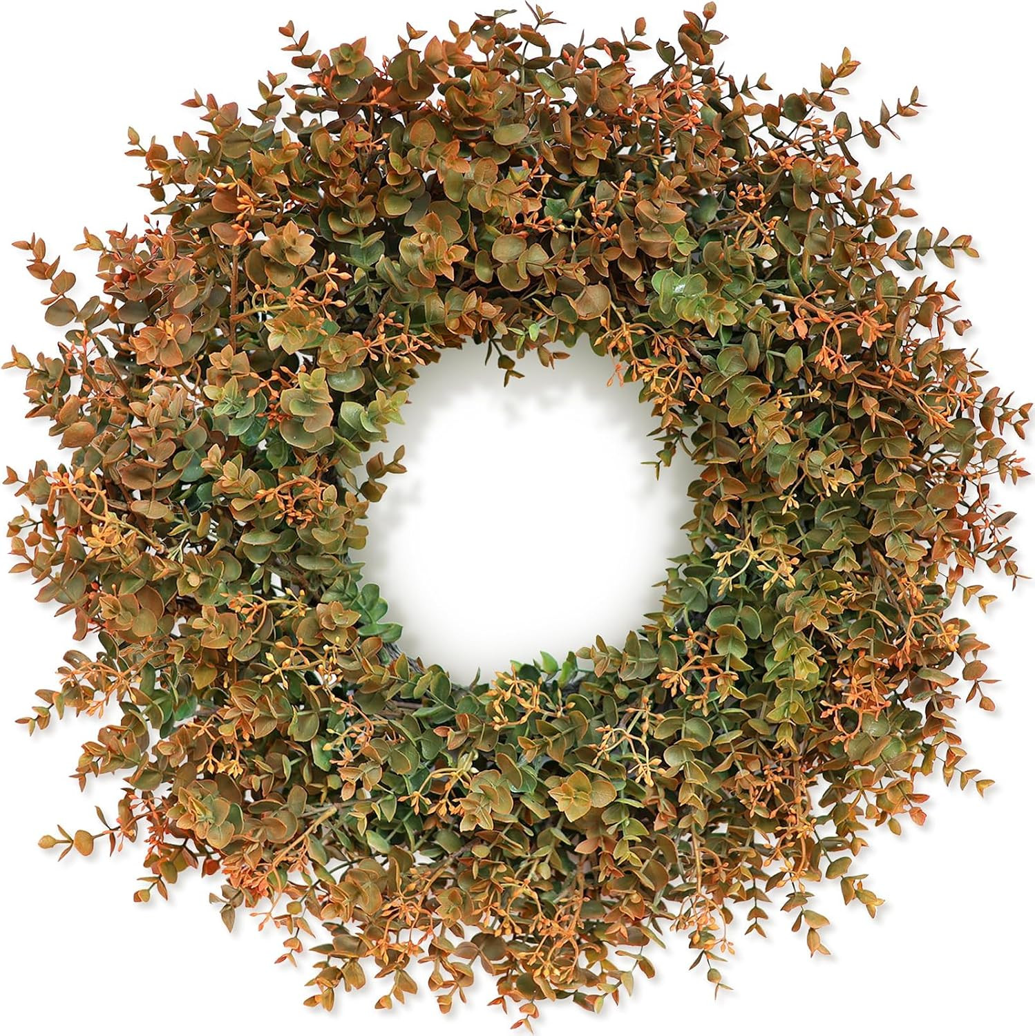 26" Fall Wreath for Front Door - Large Artificial Eucalyptus Leaves with Orange Seeds Outdoor Wreath for Porch, Window,Farmhouse,Home,Thanksgiving Day Harvest Festival Autumn Decor | Amazon (US)