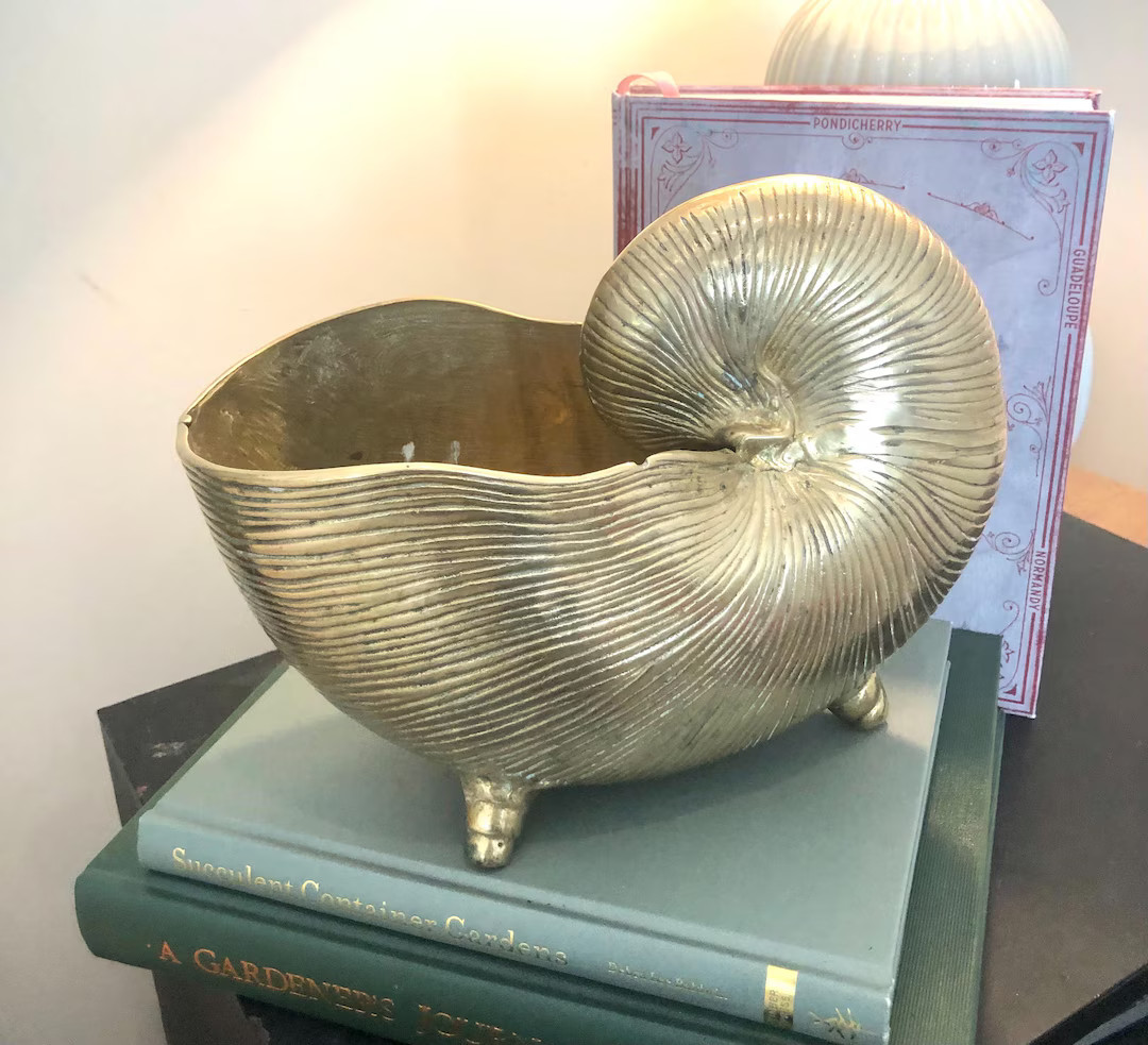 Vintage Mid-century Modern Brass Nautilus Sculpture Large Size 10x7x5 Inches on 3 Legs - Etsy | Etsy (US)