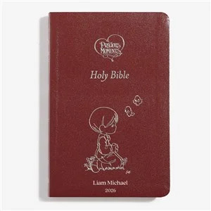 Precious Moments Personalized Bible for Boys | Things Remembered