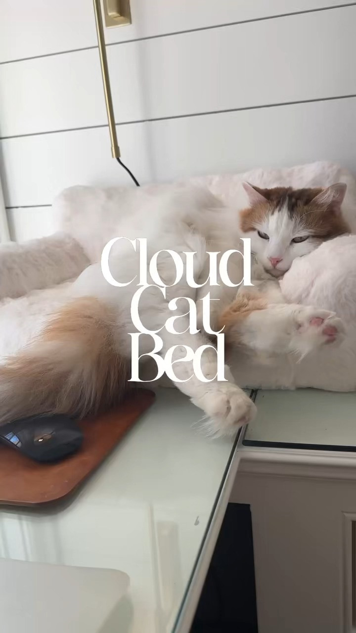 Soft as a cloud, cozy as can be—this pet bed is a must-have for your fur baby! 

 #LTKFindsUnder50