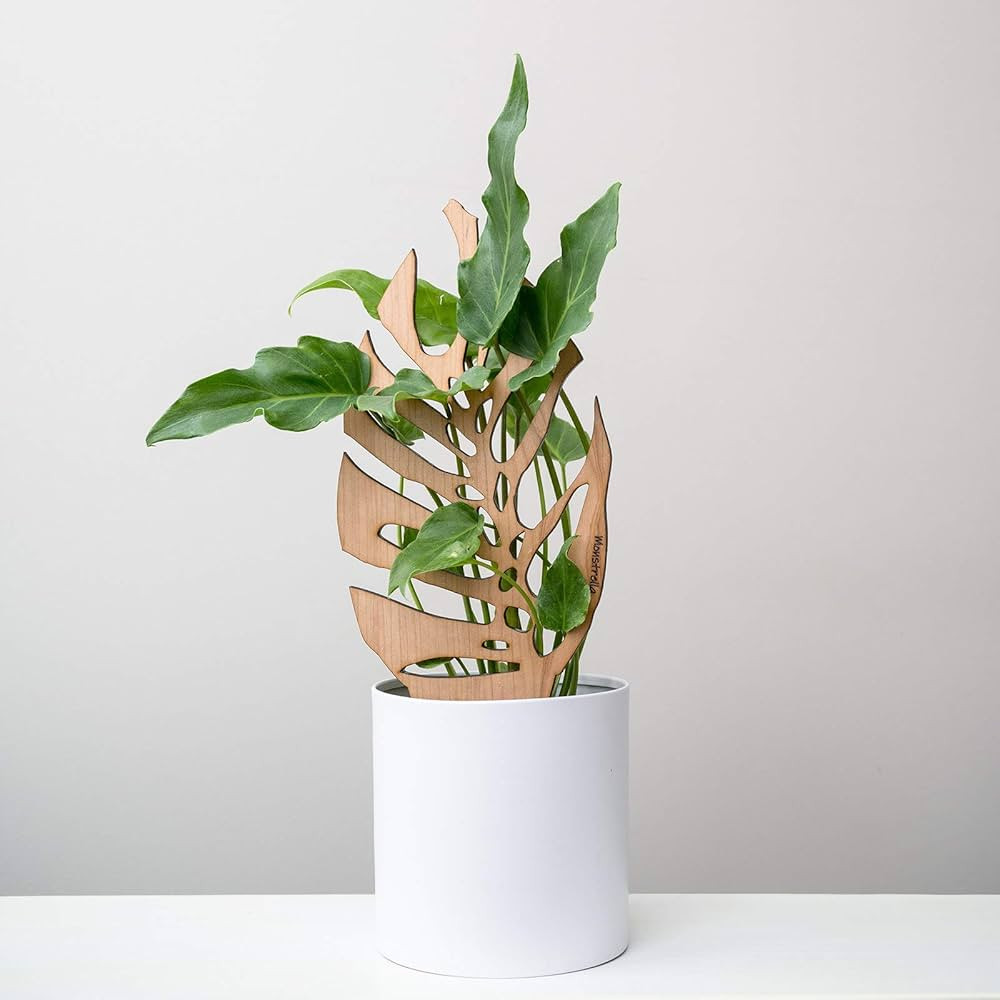Monstrella | Monstera-inspired plant support for all indoor plants | Wooden Houseplant Trellis | ... | Amazon (US)