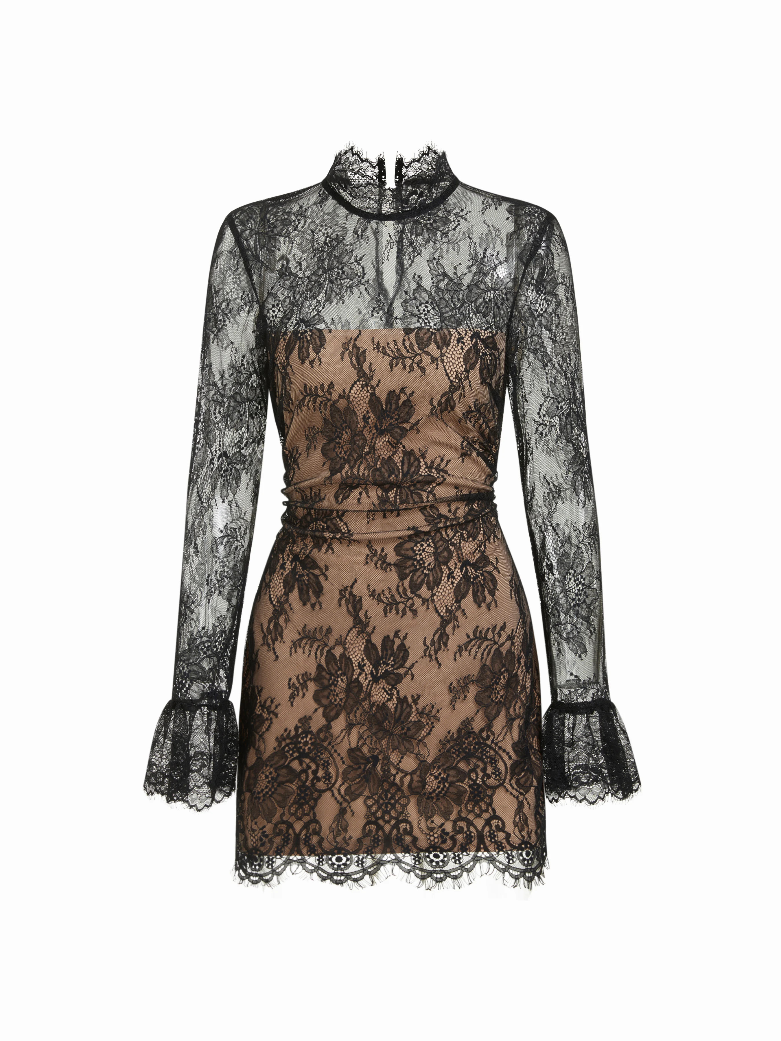 Wuthering Romance Lace Lace Stand Collar Long Sleeve Straight Mini Dress For Daily Casual | Cider