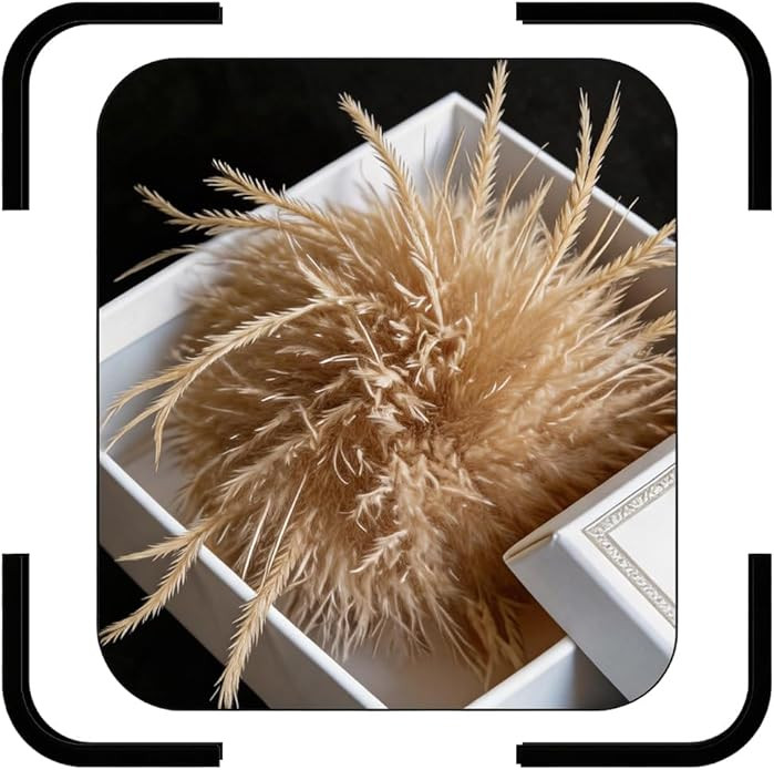 Dainty Feather Brooch Pin for Women Teen Men, Oversized Flower Large Lapel Pins Elegant Dress Sui... | Amazon (US)