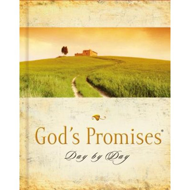 God's Promises Day by Day (Hardcover) | Walmart (US)