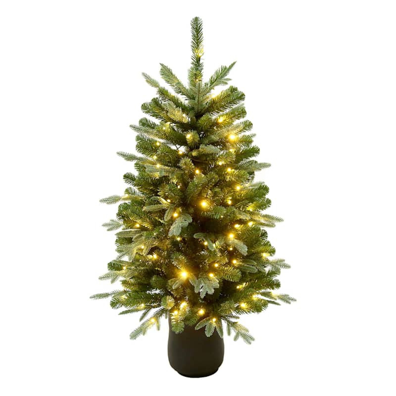 (A9) Pre-Lit Frederick Spruce Porch Tree, 4' | At Home