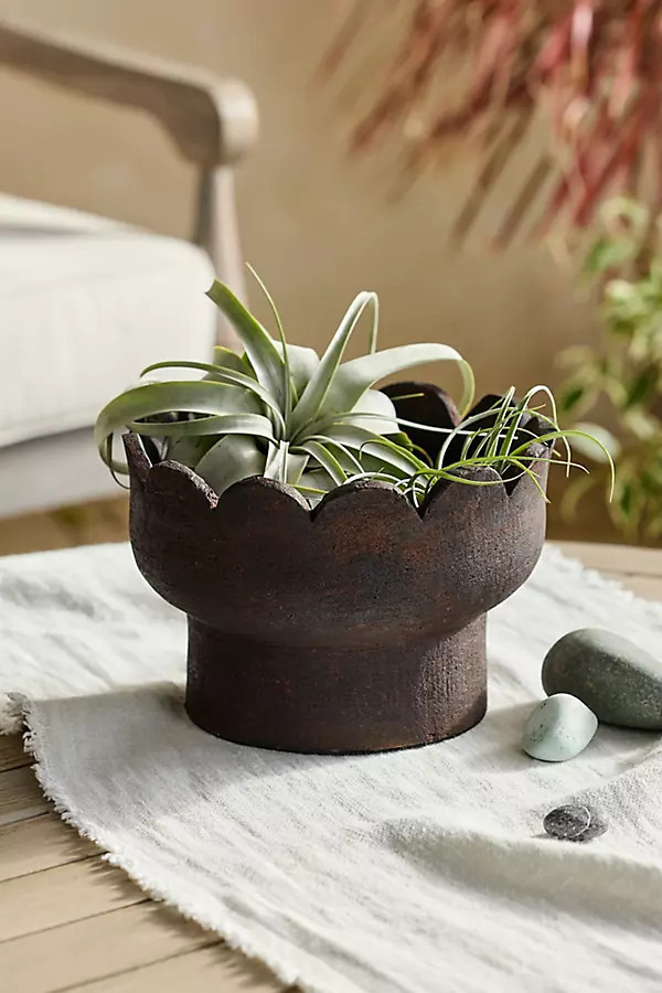Scallop Edge Terracotta Bowl Planter in Beige, Size: 9" at Terrain | Terrain