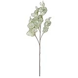 K&K Interiors 16152A 35 Inch Soft Green Flat Leaf Eucalyptus Stem | Amazon (US)