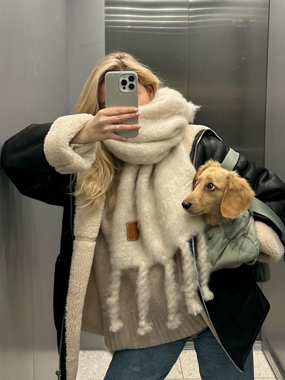 Autumn winter scarves 

#LTKSeasonal #LTKeurope #LTKHoliday