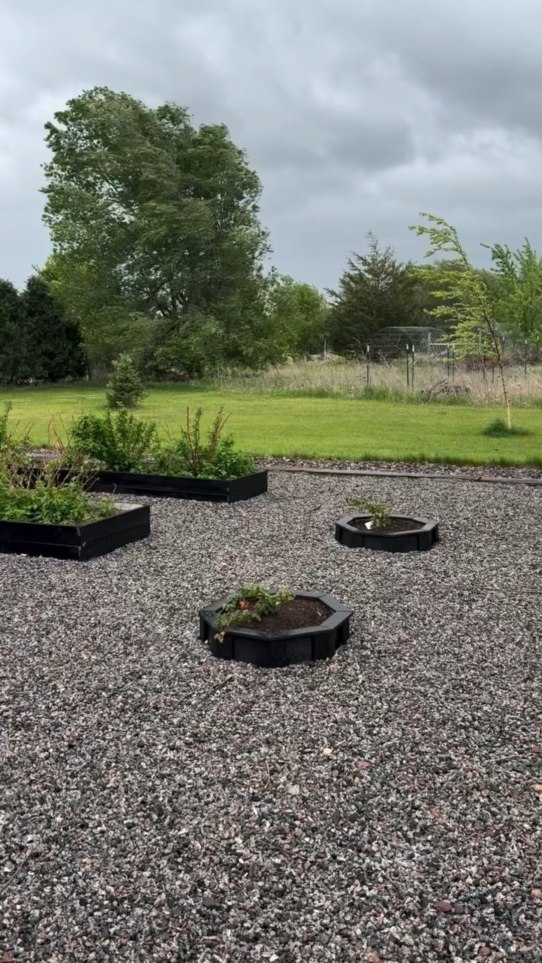 #ad From the very first planting to now, these raised beds from @eartheasy have completed this space of the garden. ✨ I couldn’t imagine this space without them 🌿

Raised beds don’t just look beautiful — they make gardening easier 🌱
✔️ Better drainage
✔️ Warmer soil in spring
✔️ Fewer weeds

Plus aesthetically pleasing ✨ 

Happy gardening! 

#GardenTransformation #RaisedBedGarden #HomegrownHarvest #midwestgarden #raisedbedgardening