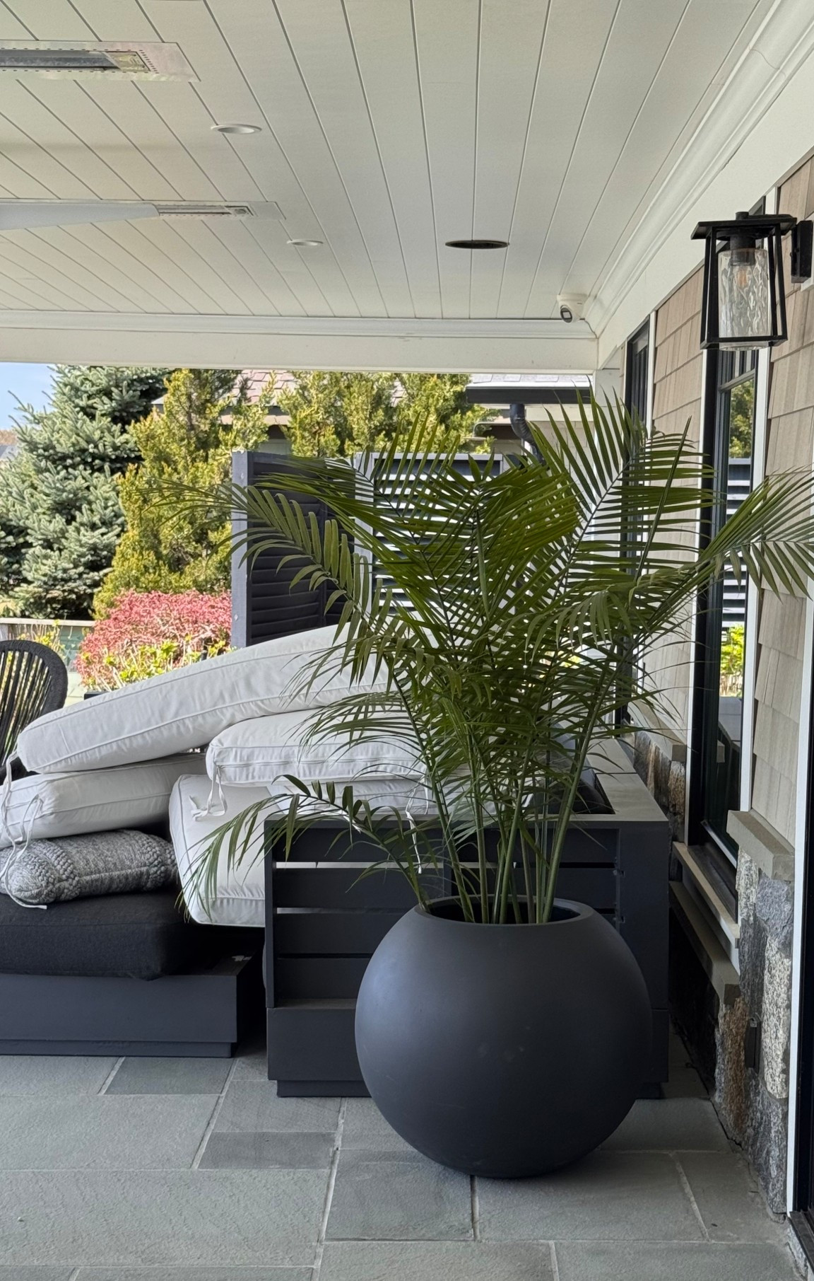 Spring cleaning and just bought this palm to put in my black sphere planter (this is the large) from crate and barrel.

#LTKHome #LTKSeasonal