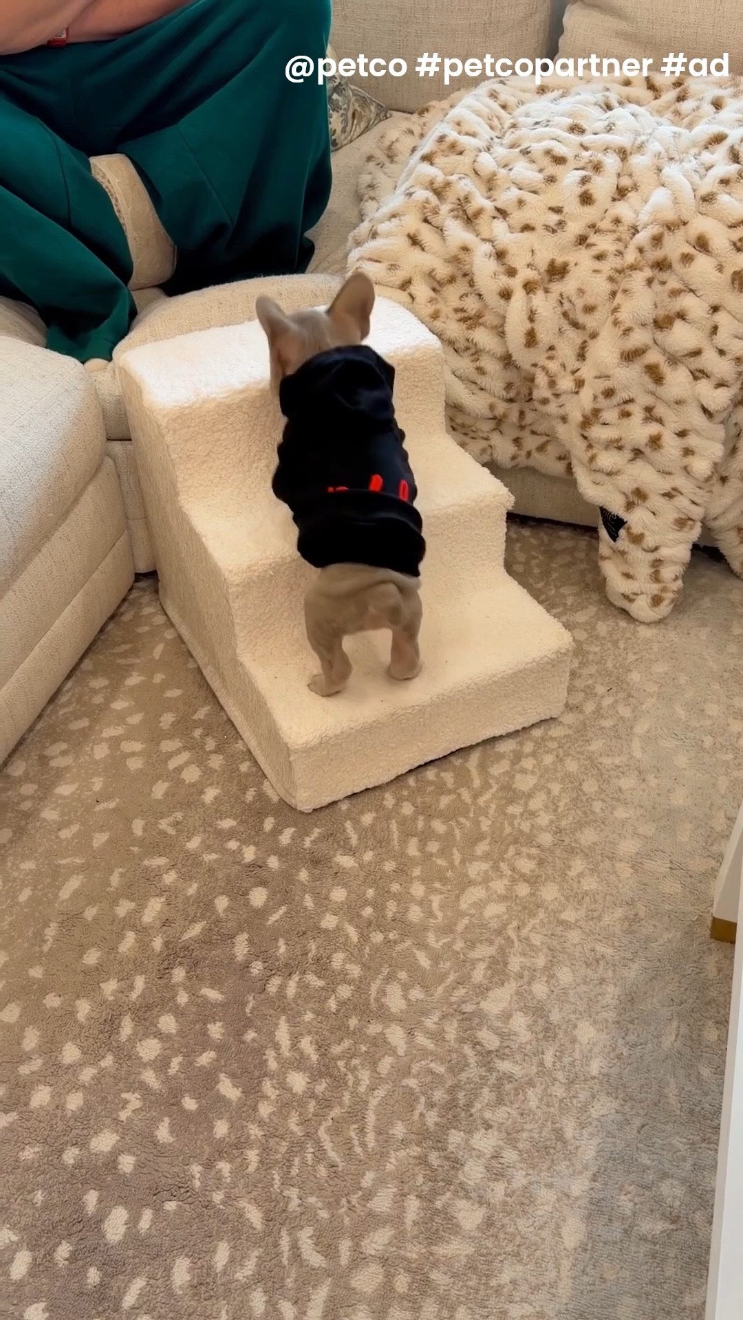 I got a new puppy and these are all the things from @petco I need to help my little puppy and my home! #ad #petcopartner 