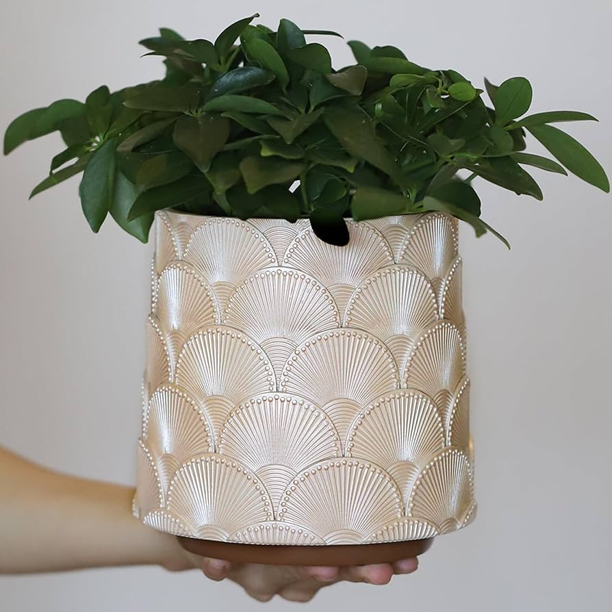 GUGUGO Pearl Beige Scale Planter, Cute Unique Plant Pot with Drainage, Eclectic Colorful Small Fl... | Amazon (US)