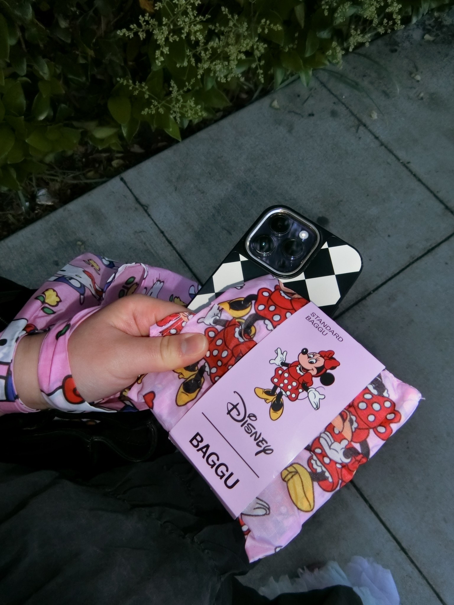 Baggu 🎀🐭