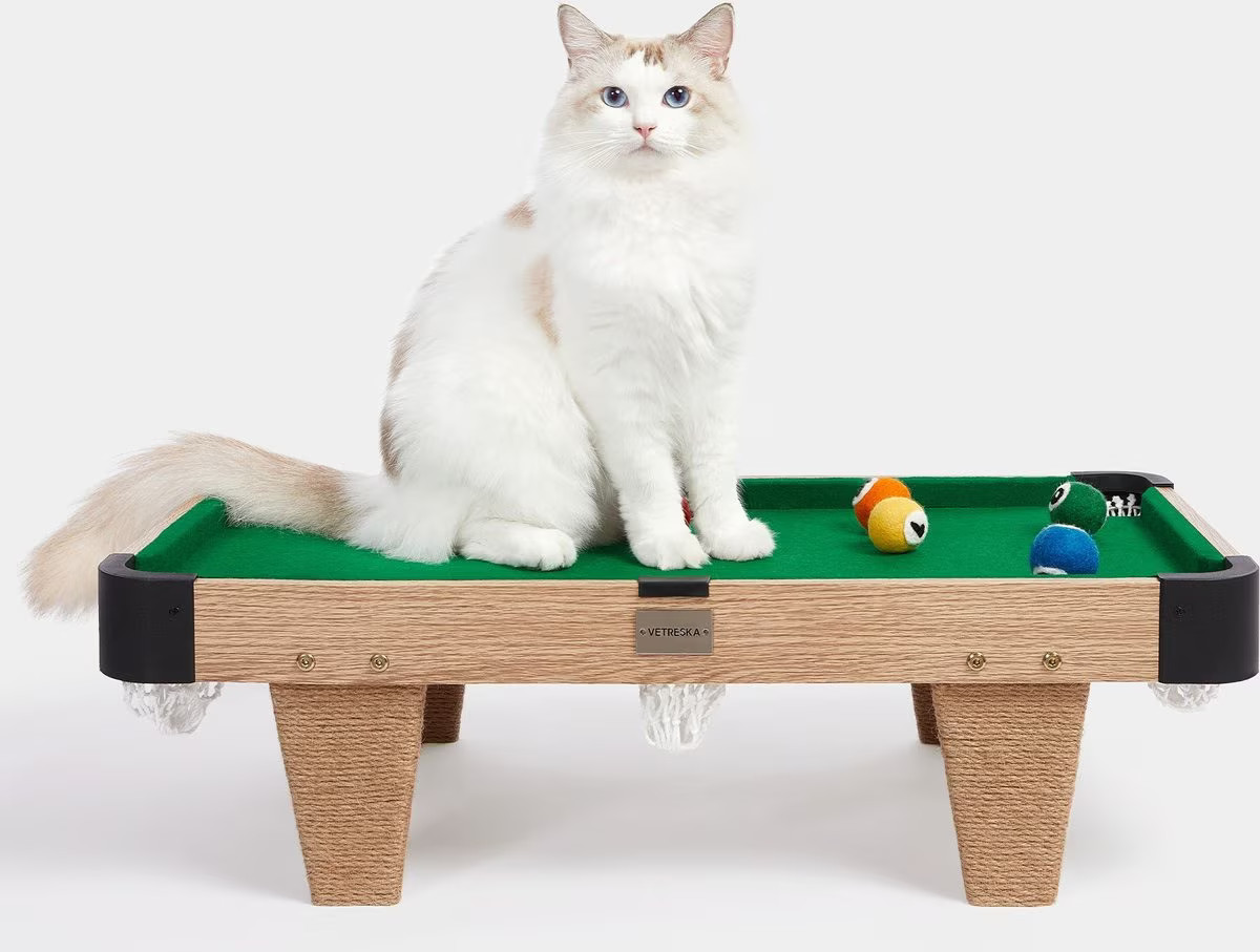 VETRESKA Meownooker Cat Toy Set | Chewy.com