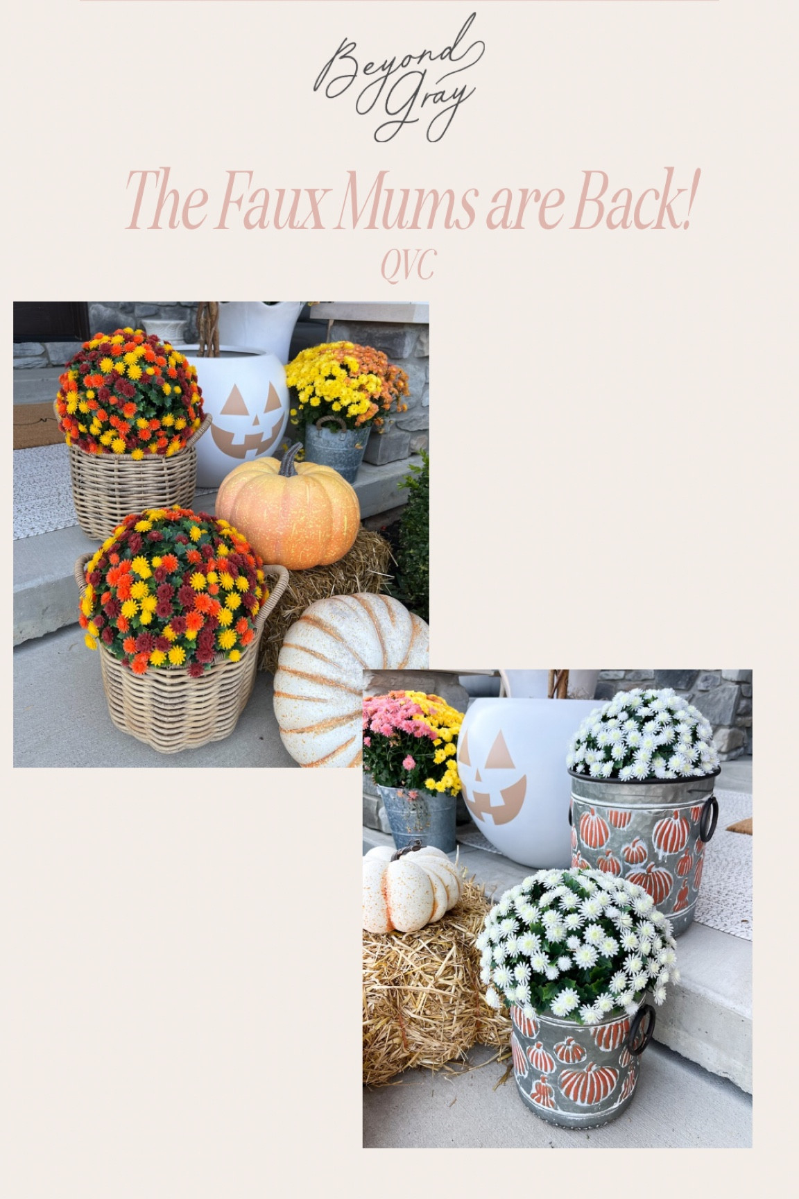 The QVC faux mums are back and are today’s special value! These will go fast (they always do. New color options this year. In the deal you get a set of 2 mum spheres. Each sphere does split in half if you only want to use half in your planter or in the ground (they do come with metal stakes to secure them to the ground). New customers can use code WELCOME30 for $30 off a purchase of $60+. Second time customers can use code HELLO10 for $10 off a purchase of $25+  

@qvc @shop.ltk #loveqvc #ad #liketkit 

#LTKSeasonal #LTKSaleAlert #LTKFallSale
